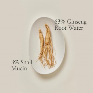 Beauty of Joseon Revive Serum Ginseng+Snail Mucin 30ml