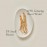 Beauty of Joseon Revive Serum Ginseng+Snail Mucin 30ml