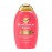 OGX Repair & Protect Bond Protein Shampoo 385mL