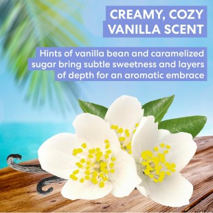 Palmer's Cocoa Butter Formula Body Cream, Moisture Drenching Tahitian Vanilla 250gr