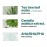 SOMEBYMI AHA.BHA.PHA 30 Days Miracle Serum Light 50ml